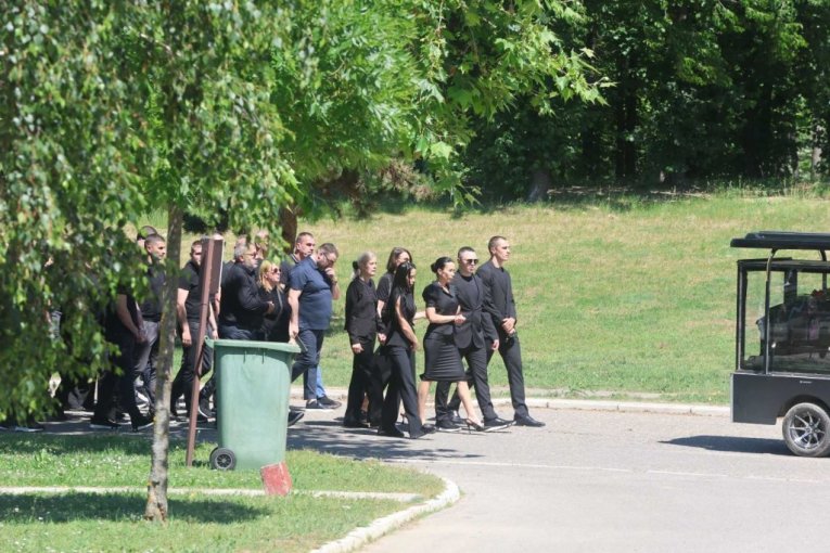 Udovica Jelena sa članovima porodice