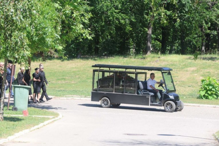 Udovica Jelena sa članovima porodice