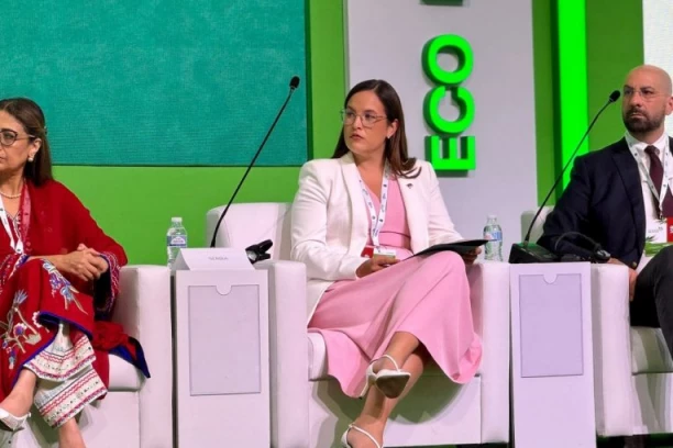 Pavkov: Zelena tranzicija nije trošak, već nvesticija u stabilnost i održivi razvoj