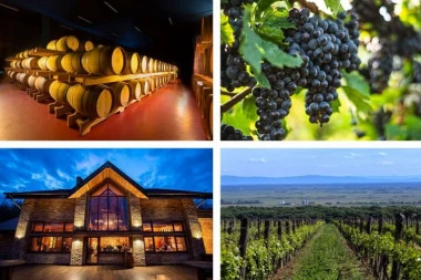 Na korak od Beograda: Vinarija Erdevik je mesto gde vino, priroda i hrana stvaraju savršen vikend