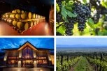 Na korak od Beograda: Vinarija Erdevik je mesto gde vino, priroda i hrana stvaraju savršen vikend