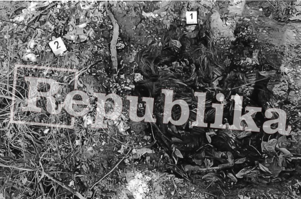 Republika