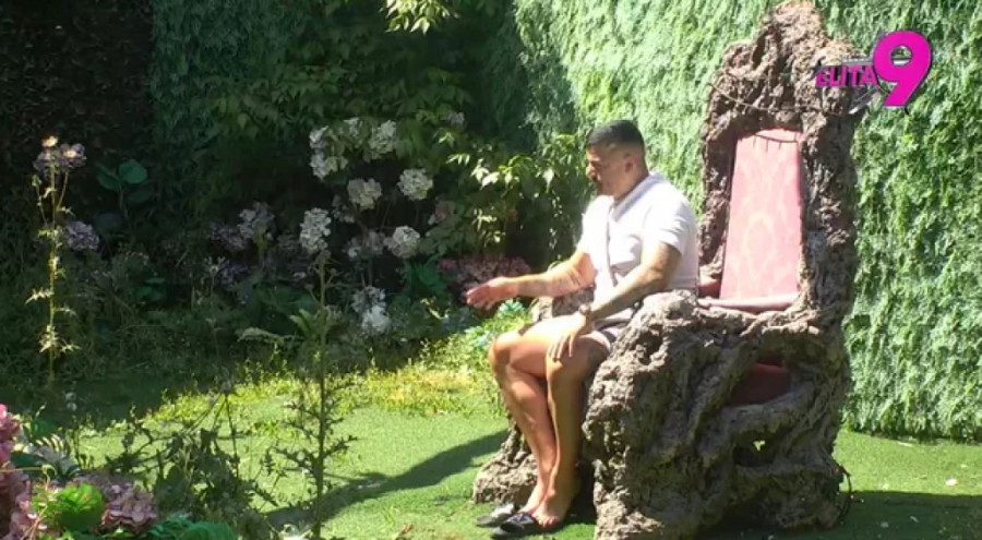 ZASIGURNA TROJKA S DANETOM I SOFIJOM?! Terza pozvao DEDU-FINANSIJERA da uđe u "Elitu", pa ŠOKIRAO! (VIDEO)