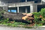 OLUJA OBARALA STABLA, NOSILA KROVOVE I STVORILA POPLAVE: Haos u zemlji, ima i poginulih! (VIDEO)