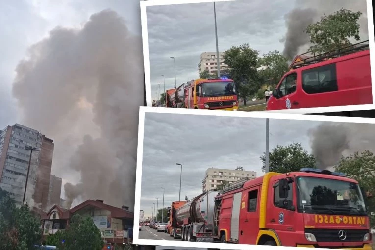 DRAMA NA NOVOM BEOGRADU NE JENJAVA: Vatrogasci se više od sat vremena BORE sa VATRENOM STIHIJOM, građanima upućen HITAN APEL! (FOTO, VIDEO)