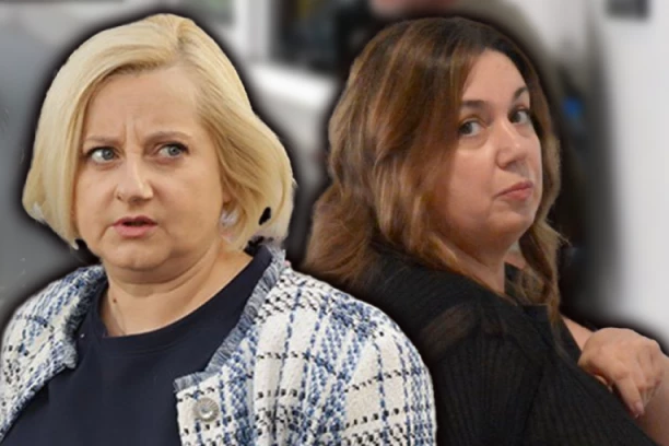 TEŠKE REČI KOJE I DALJE ODZVANJAJU! Majka ubijenog Andrije ne zaboravlja jedan detalj sa suđenja - evo šta joj je Miljana Kecmanović dobacila!