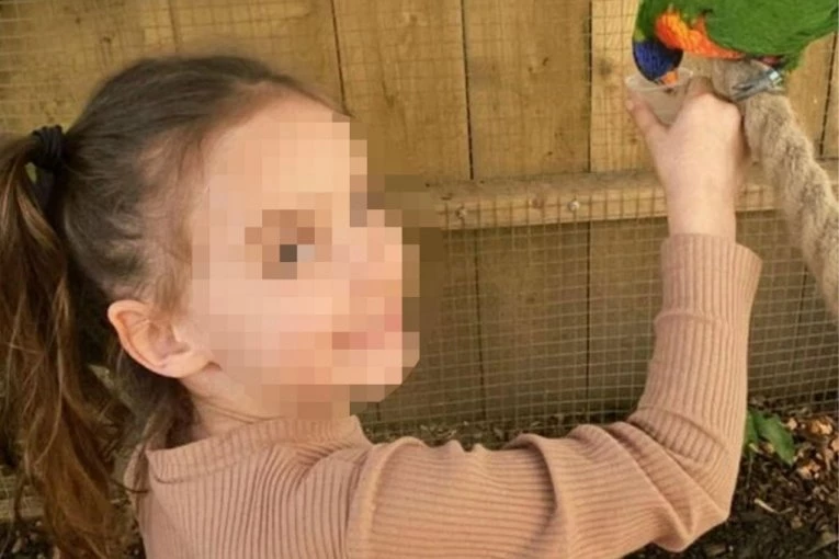 MUK U SUDNICI NAKON NJEGOVIH REČI! Isplivali novi detalji ubistva devojčice (9), javnost u šoku