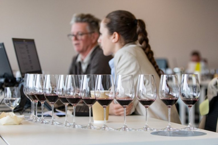 Исторический успех сербских вин на Decanter World Wine Awards