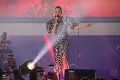 DRAMA NA NASTUPU ALEKSANDRE PRIJOVIĆ: Snimak se proširio munjevitom brzinom, nepoznati muškarac joj uradio OVO!