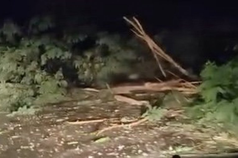 В результате грозы в районе Чачака повреждена техника и повалены деревья