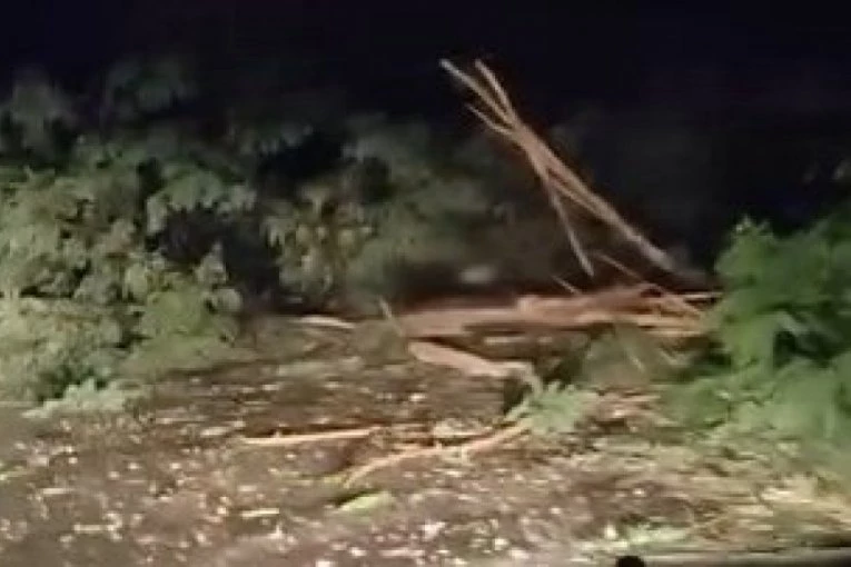 GROM NAPRAVIO HAVARIJU KOD ČAČKA! Pregoreli kućni aparati i internet ruteri, jaka oluja pokidala dreveće (FOTO)(VIDEO)