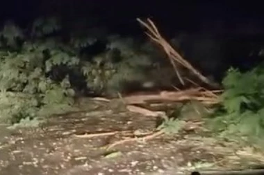 GROM NAPRAVIO HAVARIJU KOD ČAČKA! Pregoreli kućni aparati i internet-ruteri, jaka oluja pokidala drveće (FOTO, VIDEO)
