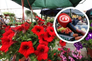 PRVO CVEĆE NA POKLON, A ONDA ISTINA UŽIVO! Novinari Nove S se kiselo nasmejali kada su pitali gospodina na pijaci kako živi: "Vučiću kapa dole!" (VIDEO)