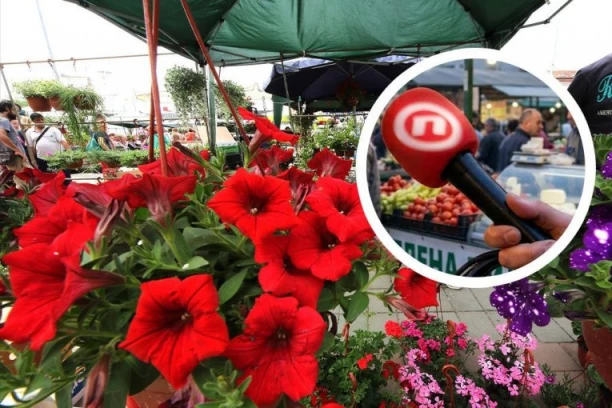 PRVO CVEĆE NA POKLON, A ONDA ISTINA UŽIVO! Novinari Nove S se kiselo nasmejali kada su pitali gospodina na pijaci kako živi: "Vučiću kapa dole!" (VIDEO)