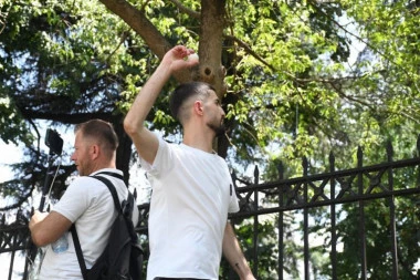 HAOS U TIRANI! Veliki protest ispred parlamenta Albanije - gađali jajima i flašama policiju, usledilo hapšenje!