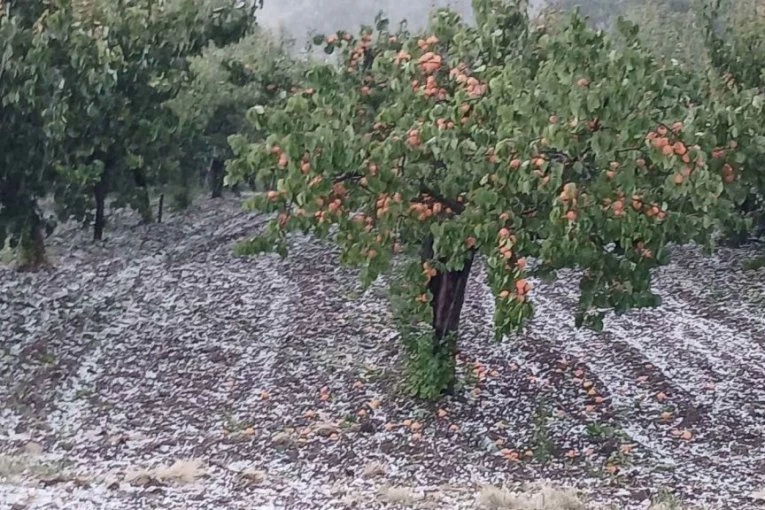 GRAD ZASUO ČAČAK I OKOLINU! Sve se zabelelo u nekoliko minuta - VOĆARI U ŠOKU! (FOTO)