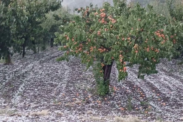 GRAD ZASUO ČAČAK I OKOLINU! Sve se zabelelo u nekoliko minuta - VOĆARI U ŠOKU! (FOTO)