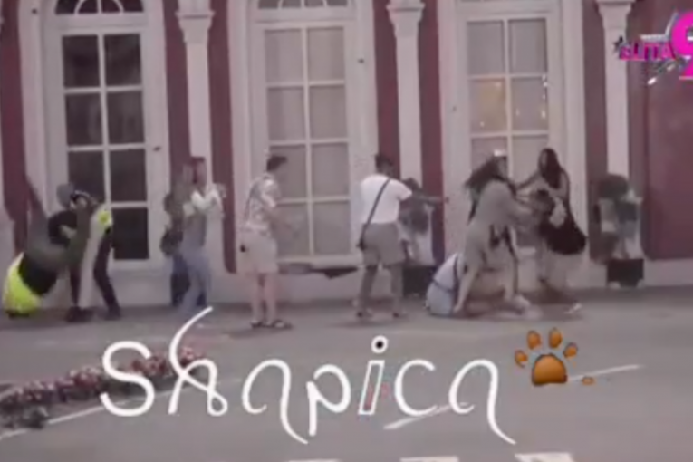 Tuča Viktora Gagića i Bore Santane