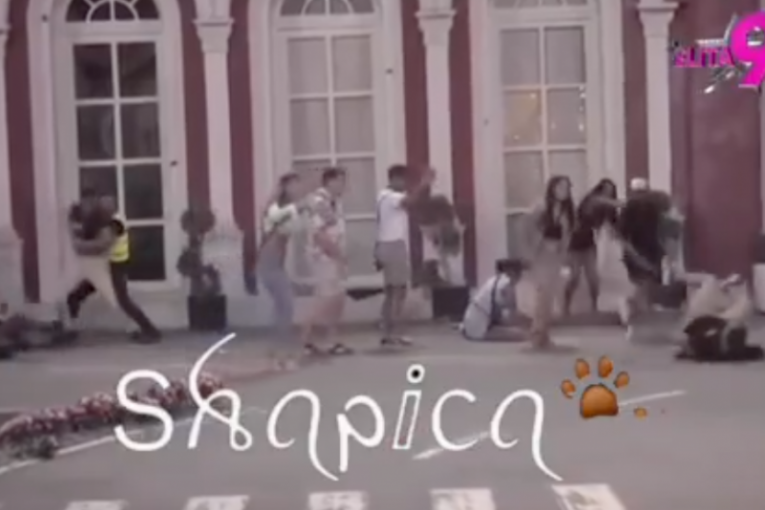 Tuča Viktora Gagića i Bore Santane