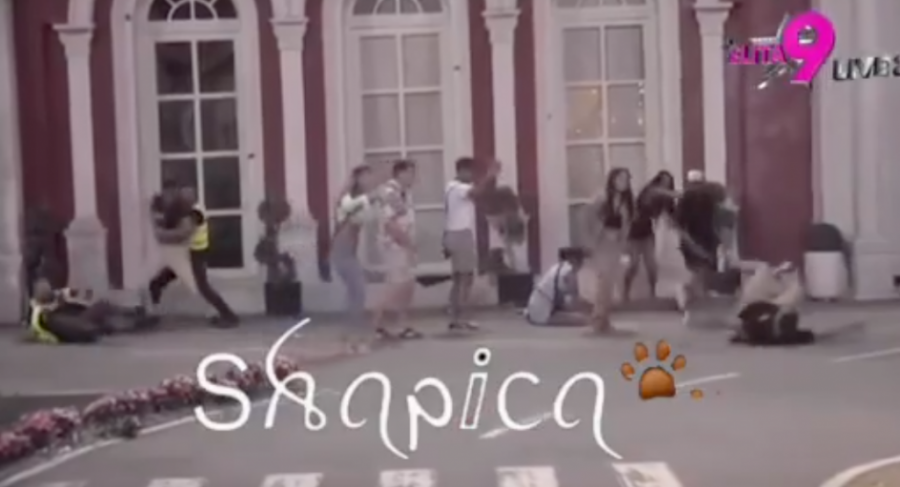 ZVERSKA TUČA U "ELITI 9": VIKTOR GAGIĆ BACIO MOMKA IZ OBEZBEĐENJA NA BETON! Sramno - traži se hitna diskvalifikacija! (VIDEO)