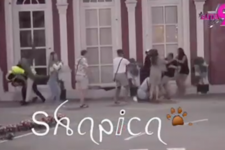 Tuča Viktora Gagića i Bore Santane