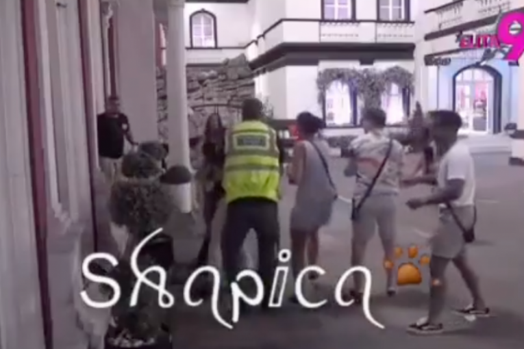 Tuča Viktora Gagića i Bore Santane