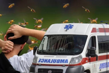 HOROR U RIPNJU! Muškarca izujedao roj osa, lekari mogli samo da konstatuju smrt!