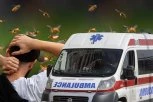 HOROR U RIPNJU! Muškarca izujedao roj osa, lekari mogli samo da konstatuju smrt!