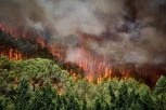 EVROPA GORI! Hiljade ljudi beže iz domova, vatrena stihija GUTA sve pred sobom - POTPUNI UŽAS! (FOTO, VIDEO)