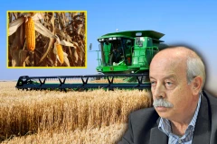 SJAJNE VESTI SA NAŠIH NJIVA I USEVA! Plodna zemlja Srbija!