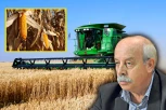 SJAJNE VESTI SA NAŠIH NJIVA I USEVA! Plodna zemlja Srbija!