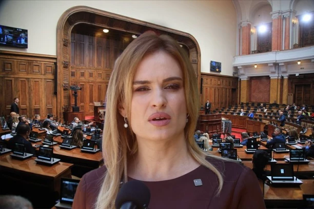 OPOZICIONI POSLANICI OMETALI RAD SKUPŠTINE! Dok je Milica Đurđević Stamenkovski govorila o važnoj temi oni su pokazali svoje pravo lice!