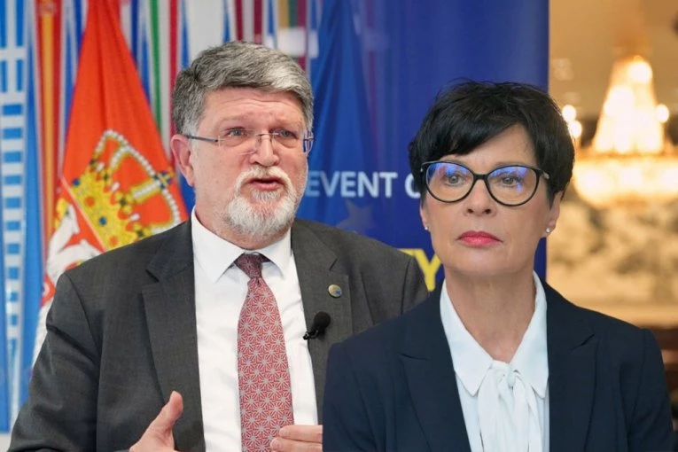 PICULA PLJUVAO PO SRBIJI, MARTA KOS JE POHVALILA: Evo kako je Evropski parlament raspravljao o izveštaju o našoj zemlji