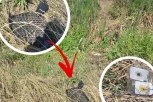 PRVE SLIKE SA MESTA STRAVIČNE NESREĆE! Mladići otišli da voze kvad, nekoliko sati kasnije pronađeni mrtvi u kanalu - TRAGOVI KRVI SVEDOČE O UŽASU! (FOTO, VIDEO)