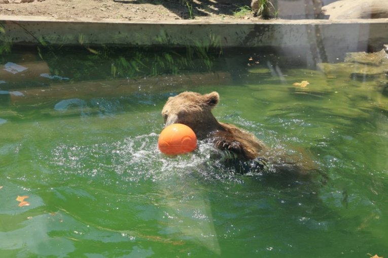 Beo zoo vrt slavi 90. rođendan