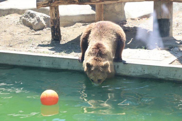 Beo zoo vrt slavi 90. rođendan