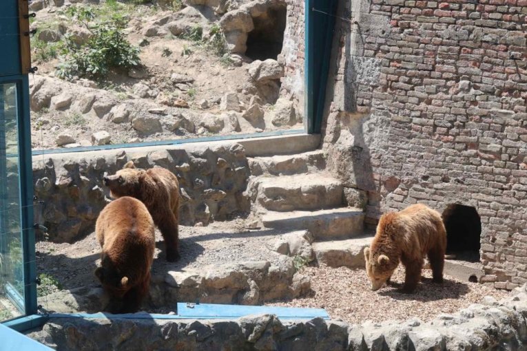 Beo zoo vrt slavi 90. rođendan