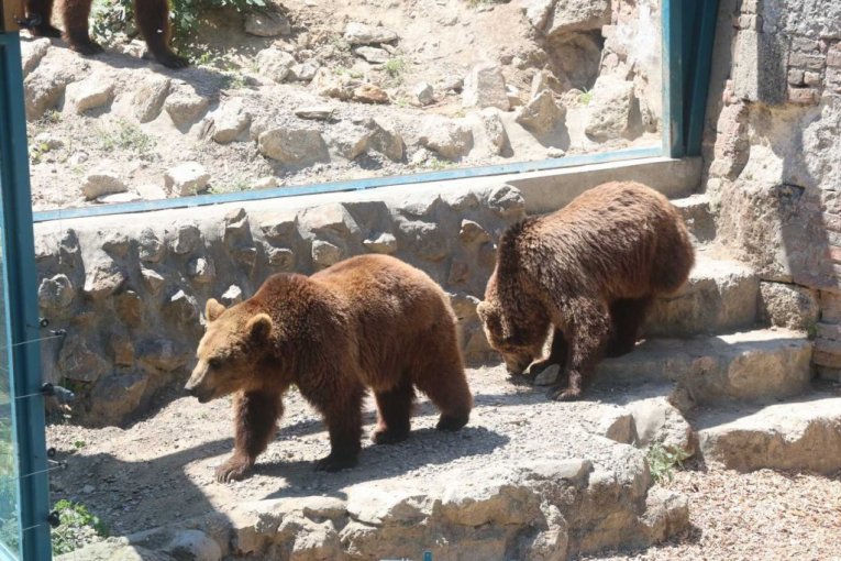 Beo zoo vrt slavi 90. rođendan