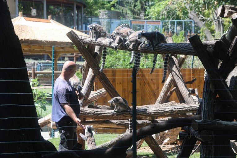 Beo zoo vrt slavi 90. rođendan