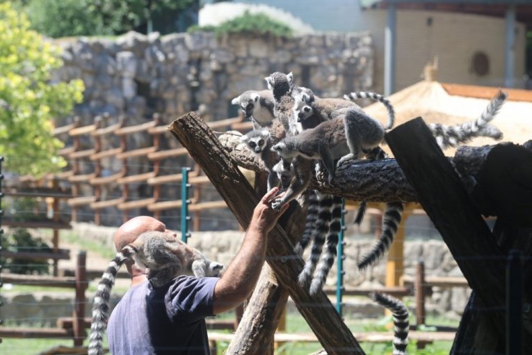 Beo zoo vrt slavi 90. rođendan