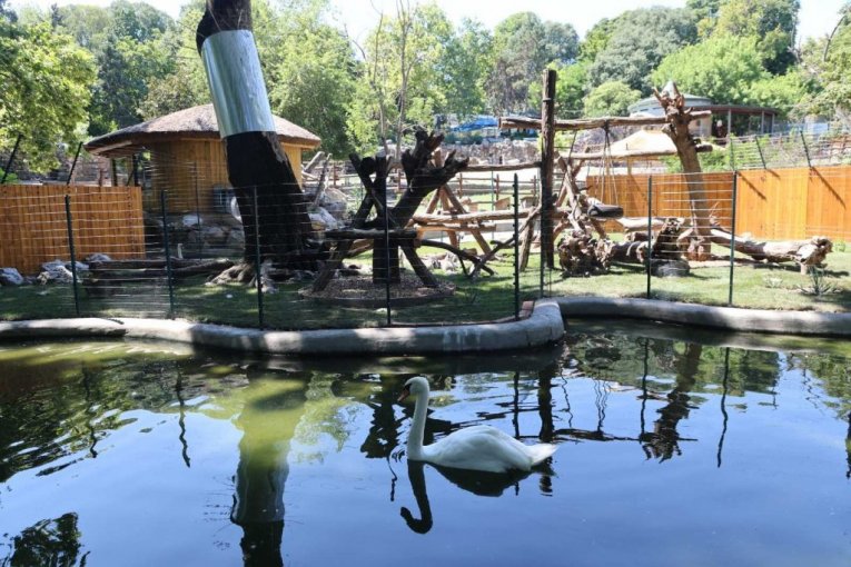 Beo zoo vrt slavi 90. rođendan