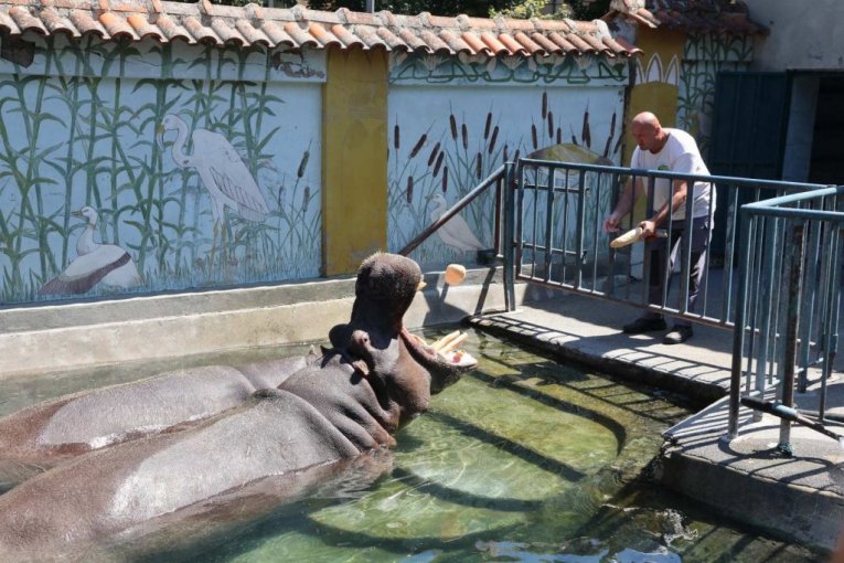 Beo zoo vrt slavi 90. rođendan