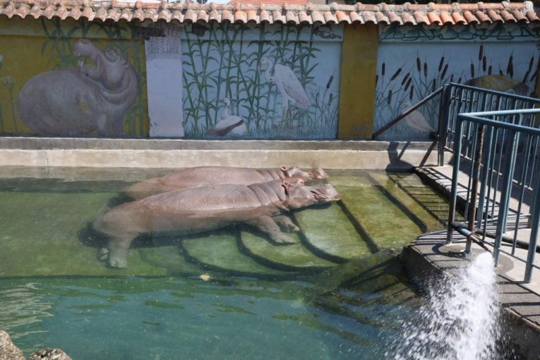 Beo zoo vrt slavi 90. rođendan