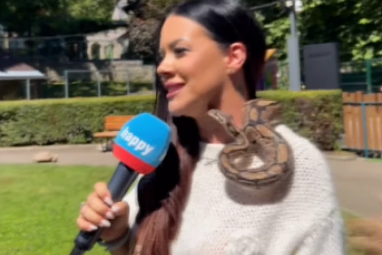 SCENA LEDI KRV U ŽILAMA! Naša voditeljka u PROGRAMU stavila ZMIJU OKO VRATA: Situacija izmakla kontroli, osoblje HITNO REAGOVALO! (VIDEO)