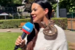 SCENA LEDI KRV U ŽILAMA! Naša voditeljka u PROGRAMU stavila ZMIJU OKO VRATA: Situacija izmakla kontroli, osoblje HITNO REAGOVALO! (VIDEO)