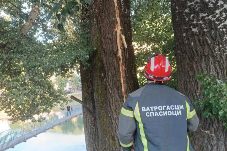 GROM RASCEPAO DRVO OD 30 METARA! Užas u Prijepolju - goreo strujoomer, sve letelo po ulici! (FOTO)