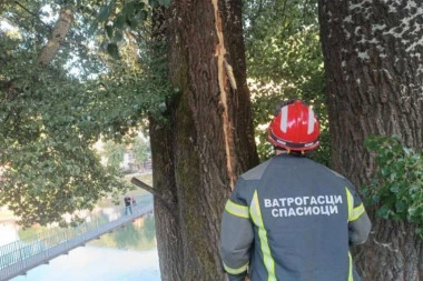 GROM RASCEPAO DRVO OD 30 METARA! Užas u Prijepolju - goreo strujomer, sve letelo po ulici! (FOTO)