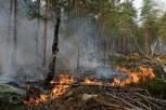JEZIVE SCENE KAO IZ FILMA KATASTROFE! Više od 830 šumskih požara u Kanadi: Dim se proširio na delove SAD - HITNO SE OGLASIO I GRADONAČENIK NJUJORKA! (VIDEO)