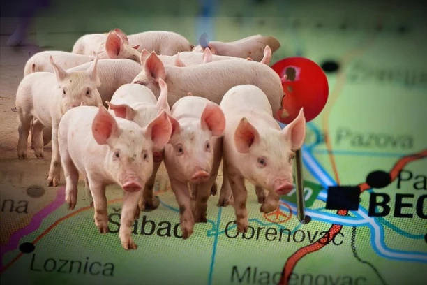 Pojavila se zarazna bolest u Obrenovcu - Stiglo hitno upozorenje!