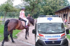 TEŠKA NESREĆA KOD SURČINA! Devojčica pala s konja tokom treninga - ZADOBILA POVREDE GLAVE, HITNO TRANSPORTOVANA U UC!